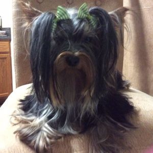 Meet your Posher, Sharon